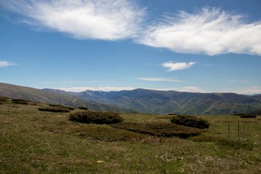 Bereketli yeşil tepelerin ve açık mavi gökyüzünün altındaki uzak sıradağların geniş manzarası. Yumuşak bulutlar huzur dolu bir atmosfer yaratarak huzur içinde yüzüyor..