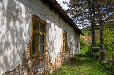 Eski, terk edilmiş bir binada açık bir gökyüzünün altında canlı yeşil bir manzaraya yuva yapmış boya ve kırık camlar bulunuyor. Güneş ışığı yakındaki ağaçların arasından süzülür..