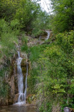 Yumuşak şelaleler canlı yeşil bitki örtüsüyle çevrili kayalık yamaçlardan aşağı akar. Huzurlu çevre, doğada barışçıl bir yansımayı davet ediyor..