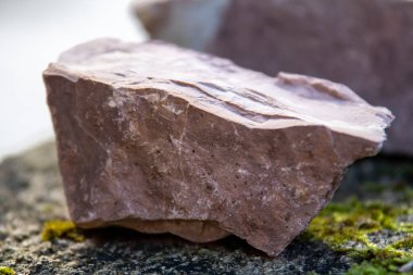 Doğal bir tortul kaya açık havada yosun kaplı bir taşın üzerinde bulunur. Kayanın eşsiz dokusu ve toprak tonları doğal ışıkla vurgulanır..