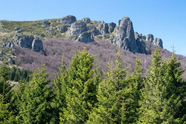 Parlak güneş ışığıyla aydınlatılan yemyeşil bir ormanın üzerindeki uzun kayalık oluşumlar kulesi. Parlak tepe örtüsü, ilkbaharın başlarında engebeli uçurumlara karşı güzel bir tezat oluşturuyor..