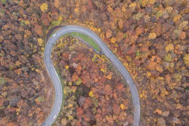 Kıvrımlı yolun sonbahar ormanıyla manzarası