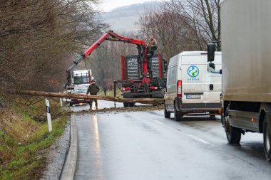 BOSZENFA, HUNGARY - JANUARY 10 2023: Fallen tree blocked the road and   caused congestion on the road Boszenfa. January 10 2023 Boszenfa, Hungary