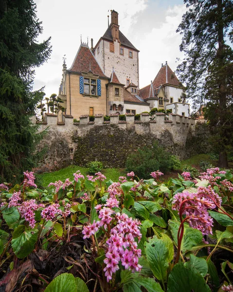 Hrad Oberhofen Švýcarsku Květinami — Stock fotografie