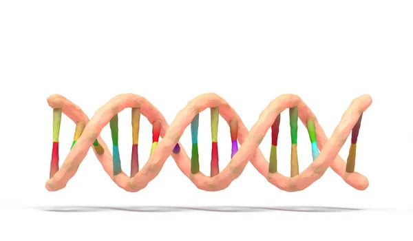 Dna Double Helix White Background Rendering — Stock Photo, Image
