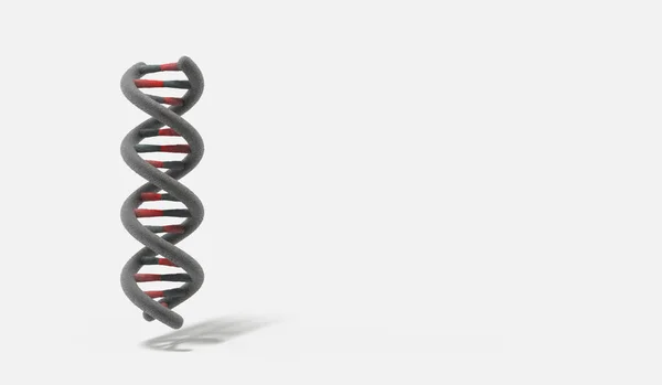 Dna Double Helix White Background Rendering — Stock Photo, Image