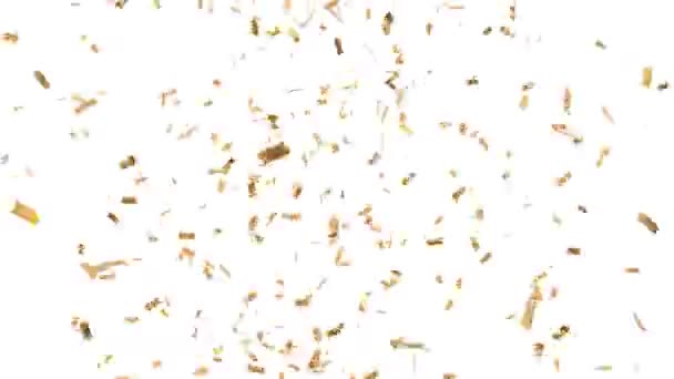 Goud Confetti Regen Gelanceerd Vanaf Een Kanon Langzaam Vallen Gescheiden — Stockvideo