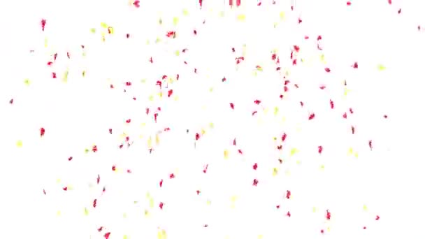Red Gold Confetti Rain Launched Cannon Slowly Falling Separated Alpha — Stock Video
