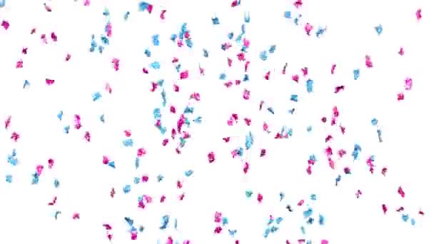 Blauwe Roze Confetti Regen Gelanceerd Vanaf Een Kanon Gescheiden Alfa — Stockvideo