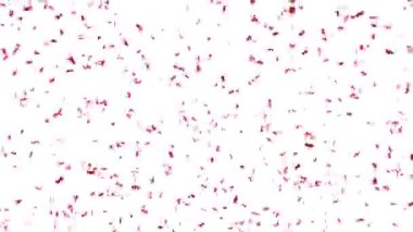 5 jet kırmızı konfeti bir toptan fırlatıldı - yavaşça düşüyor - alfa kanalı - 4k 60fps 3D görüntüleme