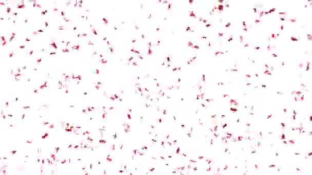 Струменів Червоного Конфітті Запущеного Гармати Повільно Падає Відокремлений Альфа Канал — стокове відео