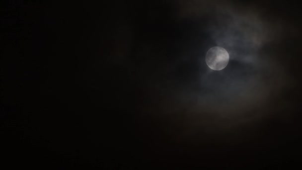 Der Mond Spielt Nachts Mit Den Wolken Verstecken Windig — Stockvideo