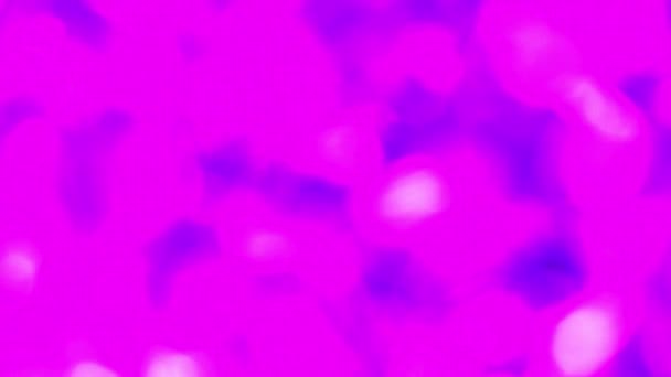 Fundo Abstrato Rosa Com Luzes Borradas Movimento — Vídeo de Stock