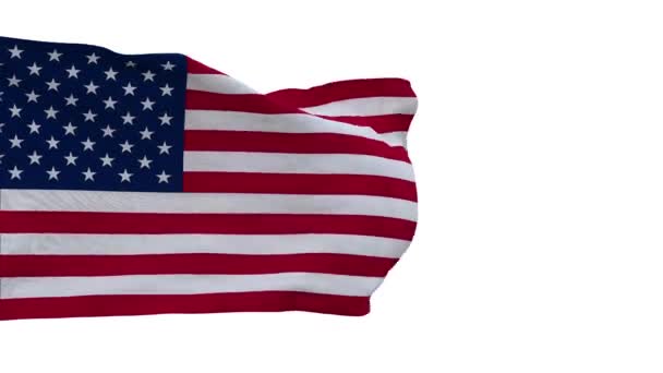 Spojené Státy Americké Vlající Vlajka Větru Smyčka Videa Samostatný Alfa — Stock video