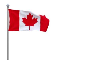 Rüzgarda dalgalanan Kanada bayrağı - döngüye girmiş video - ayrı alfa kanalı - 4K - 3D görüntüleme