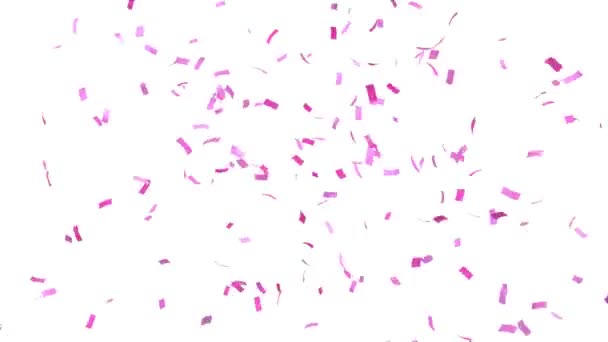 Růžové Konfety Exploze Bílém Pozadí Pro Genderové Odhalení Vykreslování Fps — Stock video