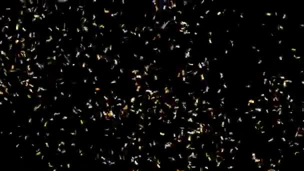 Jets Confetti Collide Explode Rain Confetti Which Falls Back Separated — Stock Video