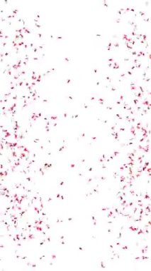 kırmızı konfeti patlaması, dikey biçim - 3D görüntüleme - 4k - 60 fps