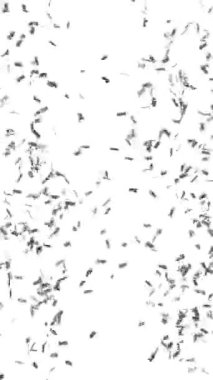 Gümüş konfeti patlaması, dikey biçim - 3D görüntüleme - 4k - 60 fps