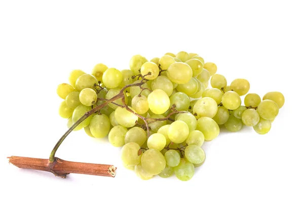 Grüne Trauben Vor Weißem Hintergrund — Stockfoto