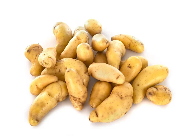 Ratte Potato Front White Background — Stock Photo, Image
