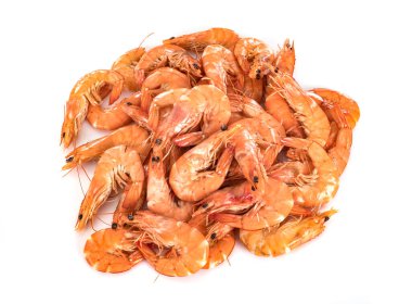 Beyaz arkaplan önünde pembe karidesler