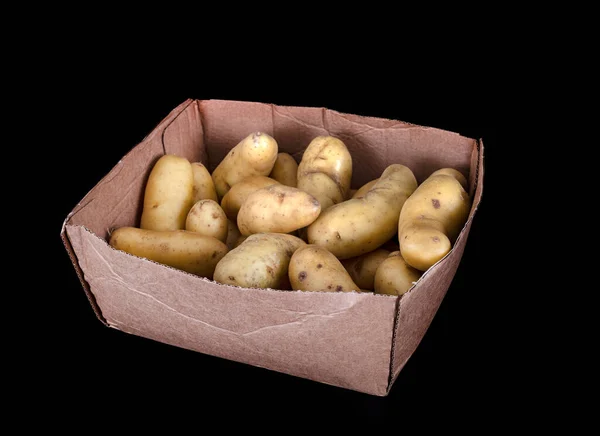 Ratte Potato Front Black Background — Stock Photo, Image