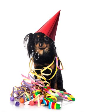 Russkiy Oyuncak beyaz arkaplan önünde