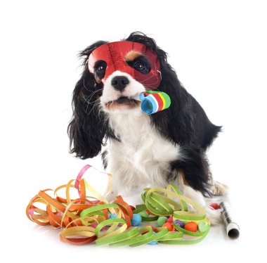 Beyaz arkaplan önünde süvari kral Charles