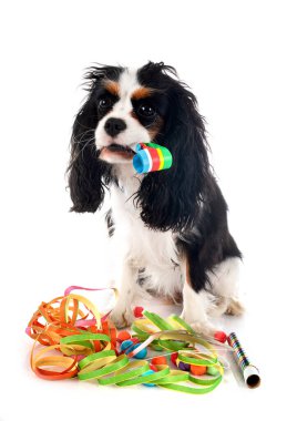 Beyaz arkaplan önünde süvari kral Charles