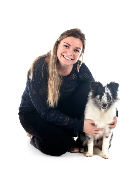 Shetland Sheepdog Vrouw Voor Witte Achtergrond — Stockfoto
