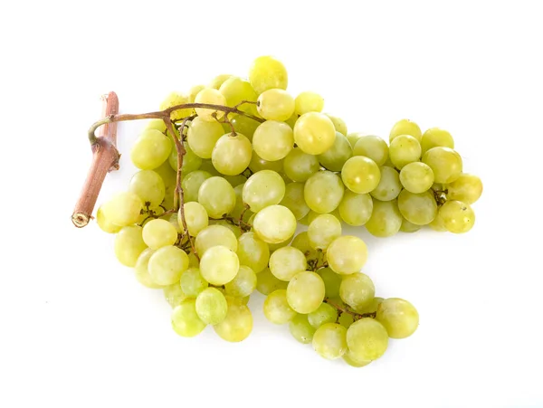 Grüne Trauben Vor Weißem Hintergrund — Stockfoto