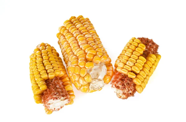 Szárított Kukorica Előtt Fehér Háttér — Stock Fotó