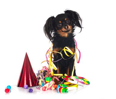 Russkiy Oyuncak beyaz arkaplan önünde