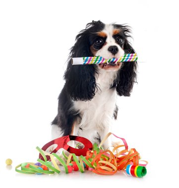 Beyaz arkaplan önünde süvari kral Charles