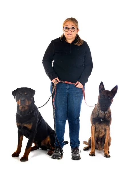 白い背景の前に二匹の犬と女 — ストック写真