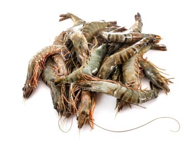 king prawn in front of white background