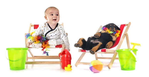 Vier Maanden Oud Baby Jongen Pup Voorkant Van Witte Achtergrond — Stockfoto