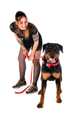 safkan Rottweiler ve beyaz arkaplanın önündeki kadın