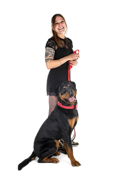 Rottweiler Razza Donna Davanti Sfondo Bianco — Foto Stock