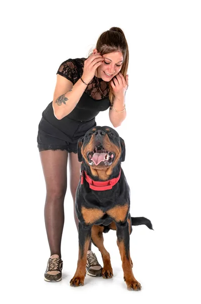 Raszuivere Rottweiler Vrouw Voorkant Van Witte Achtergrond — Stockfoto