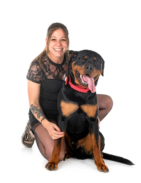 Purebred Rottweiler Mujer Frente Fondo Blanco —  Fotos de Stock