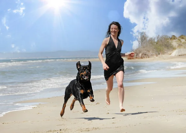 度假时在海滩上的纯种的罗特韦勒和女人 — 图库照片