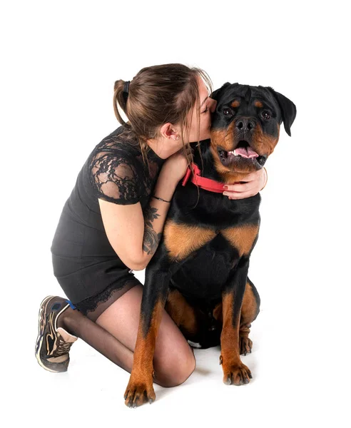 Purebred Rottweiler Woman Front White Background — Stock Photo, Image