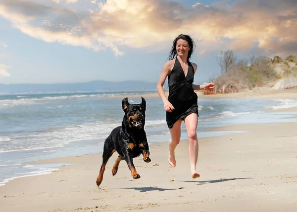 休暇中のビーチでの純血種のロットウィラーと女性 — ストック写真