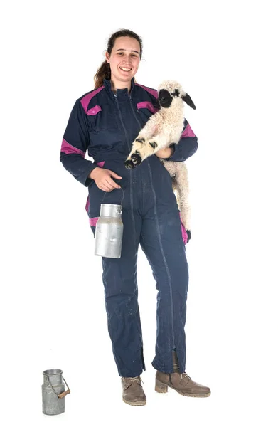 Lamb Valais Blacknose Woman Farmer Front White Background — Stock Photo, Image
