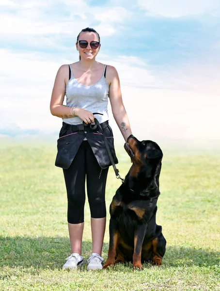 Γυναίκα Και Rottweiler Περπάτημα Στη Φύση Καλοκαίρι — Φωτογραφία Αρχείου