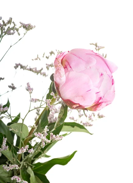 白い背景の前で牡丹の花束 — ストック写真
