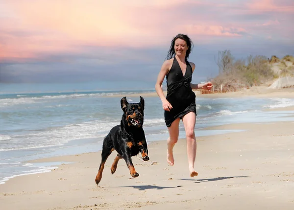 休暇中のビーチでの純血種のロットウィラーと女性 — ストック写真