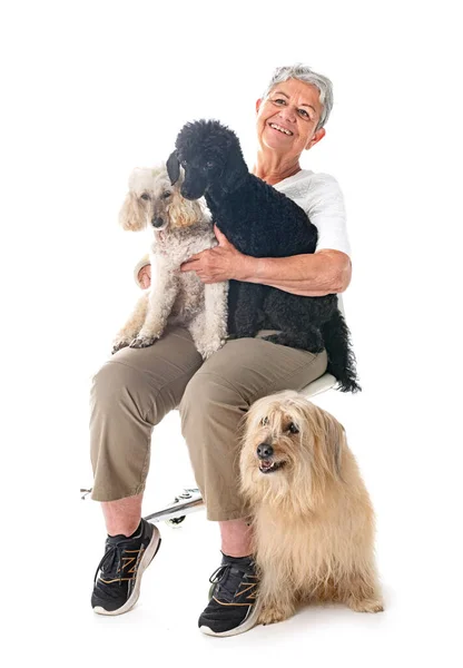 Ηλικιωμένη Γυναίκα Και Σκυλιά Μπροστά Από Λευκό Φόντο — Φωτογραφία Αρχείου